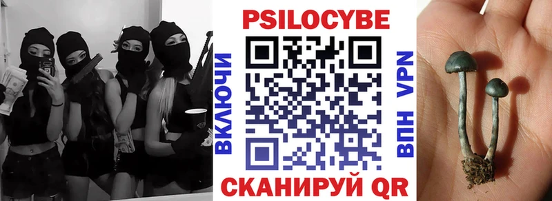 Галлюциногенные грибы MAGIC MUSHROOMS  это состав  Нижнеудинск  хочу  
